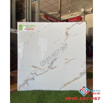 Gạch khắc kim prime 800x800 cao cấp tại tphcm