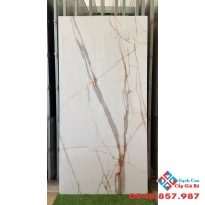 Gạch nhập ấn độ 80x160 bóng kiếng