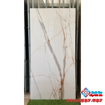 Gạch nhập ấn độ 80x160 bóng kiếng