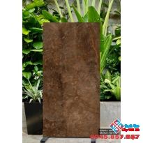 Gạch ấn độ 80x160 bóng kiếng mới nhất