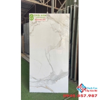 Gạch tasa trắng vân đá 80x160 lát nền bóng kiếng