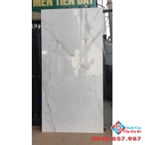 Gạch bóng kiếng 80x160 ấn độ tại miền đông