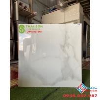 Gạch lát nền ấn độ bóng kiếng 80x80 cao cấp giá tốt nhất