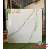 Kho gạch lát nền bóng kiếng 80x80 ấn độ chính hãng giá rẻ