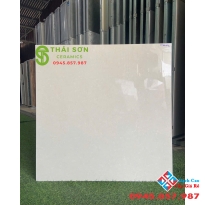 Gạch TTC 80x80 bóng kiếng lát nền màu kem vàng giá rẻ