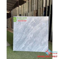 Gạch bóng kiếng giá rẻ 80x80 takao