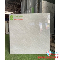 Gạch toko bóng kính lát nền 80x80 giá rẻ