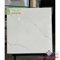 Gạch 80x80 trắng vân bóng kiếng lát nền giá rẻ