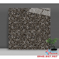 Gạch bóng kiếng catalan cao cấp 80x80 tại quận 7