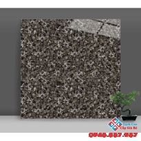 Gạch bóng kiếng catalan cao cấp 80x80 tại quận 7
