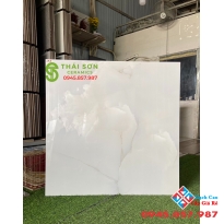 Gạch ấn độ 80x80 bóng kiếng lát nền cao cấp HCM