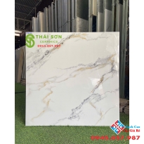 Gạch catalan 80x80 bóng kiếng lát nền phòng khách 