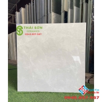 Gạch Xsmart catalan 80x80 bóng kiếng màu xám 