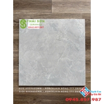 Gạch Takao bóng kiếng 80x80 lát nền văn phòng