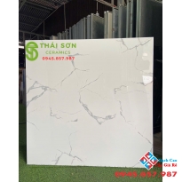 Gạch 120x120 ấn độ lát nền trung cư cao cấp màu trắng vân đá