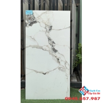 Đá granite cao cấp 60x120 ấn độ