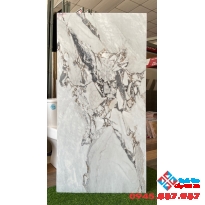 Gạch ấn độ 60x120 cao cấp thủ đức
