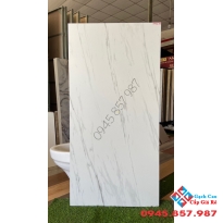 Gạch ấn độ cao cấp 60x120 cao cấp giá rẻ tại long an