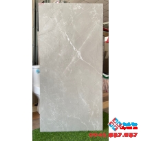 Gạch ấn độ 60x120 mờ cao cấp bình thạnh
