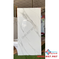 Gạch ốp lát nhập khẩu cao cấp 60x120 bóng kiếng tại trà vinh