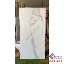 Gạch lót nền chống trơn nhập khẩu 60x120 ấn độ tại vĩnh long giá rẻ