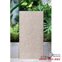 Gạch lát nền ấn Độ 60x120