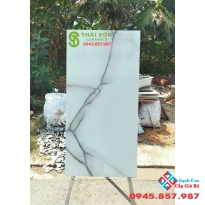 Gạch 60x120 bóng kiếng lát nền ấn độ