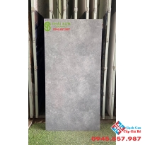Gạch lát nền xám xi măng 60x120 matt mờ ấn độ