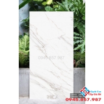 Gạch 60x120 lát nền ấn độ cao cấp tại sài gòn