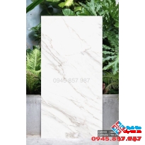Gạch 60x120 lát nền ấn độ cao cấp tại sài gòn