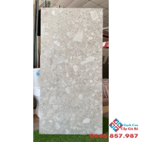 Gạch lát nền nhập khẩu 60x120 tại tphcm