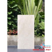 Gạch ấn độ 60x120 cao cấp mờ nhám