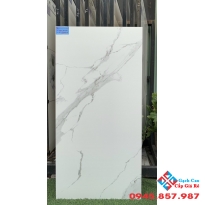 Gạch nhập ấn độ 60x120 nhám tại Gò vấp