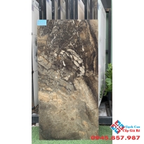 Trung tâm gạch nhập ấn độ 60x120 bóng kiếng