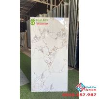 Gạch bóng kiếng 60x120 lát nền ấn độ cao cấp