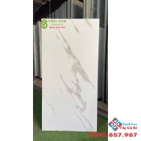 Gạch matt mờ ấn độ 60x120 lát nền trắng vân đá