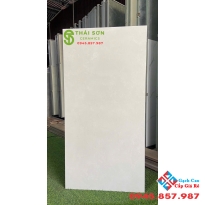 Gạch ấn độ 60x120 bề mặt mờ lát nền màu xám