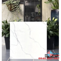 Gạch ấn độ 60x60 cao cấp Q1