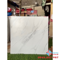 Gạch lót nền chống trơn 60x60 đá mờ ấn độ