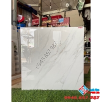 Gạch bóng kiếng ấn độ 60x60 giá rẻ tại long an