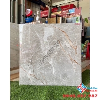 Tìm mua gạch bóng kiếng ấn độ 60x60 giá tốt ở đâu tại hcm