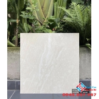 Gạch cao cấp nhập khẩu 60x60 nhám