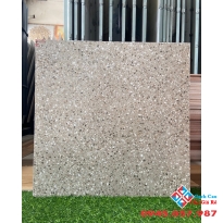 Gạch nhập khẩu ấn độ 60x60 hoa cương