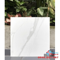 Gạch lát nền ấn độ 60x60 đá mờ tông sáng