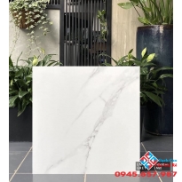 Gạch đá mờ nhập khẩu 60x60 giá rẻ hiệp phước