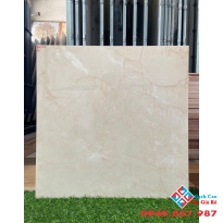 Gạch ấn độ quận 5 cao cấp 60x60