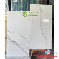 Gạch 80x160 lát nền ấn độ bóng kiếng Ariel White
