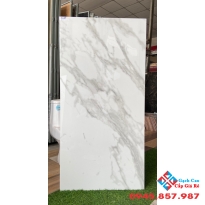 Gạch nhập 60x120 bóng kiếng giá rẻ