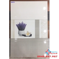 Gạch ốp tường catalan 30x60 giá rẻ