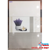Gạch ốp tường catalan 30x60 giá rẻ